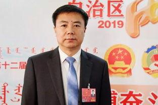 杨博个人资料,才华横溢的青年才俊，多领域成就斐然