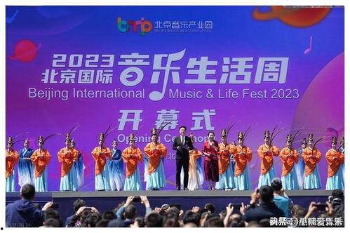 网红歌曲排行榜,旋律动听，人气爆棚！